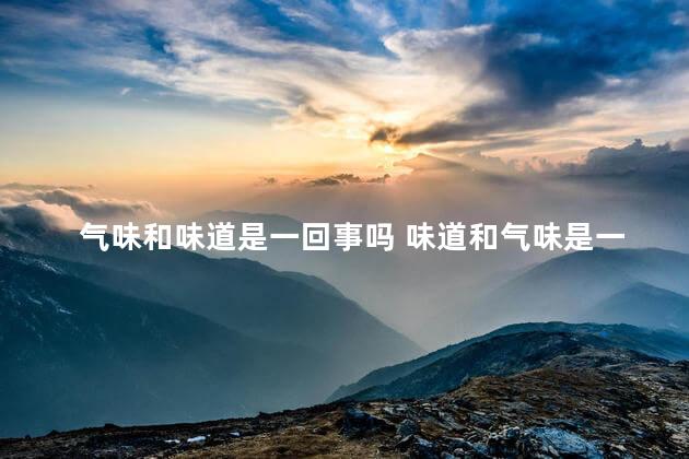 气味和味道是一回事吗 味道和气味是一回事吗